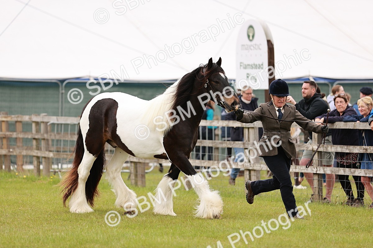 SBM_05955 - Class 39-41 TGCA In Hand and Ridden