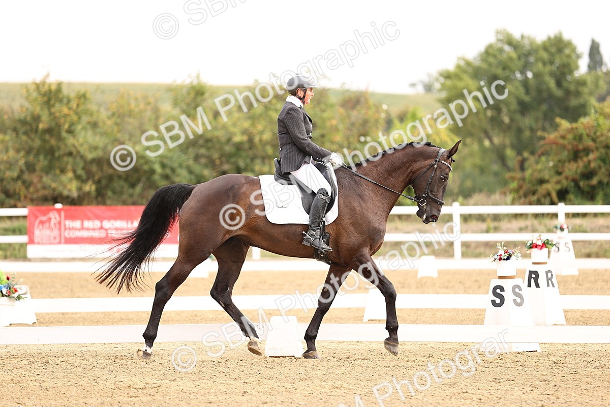 SBM_011575 - Class 1 - Medium 5