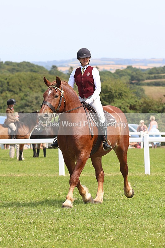 JPP_3508 - Class 15: Heavy Horse Ridden