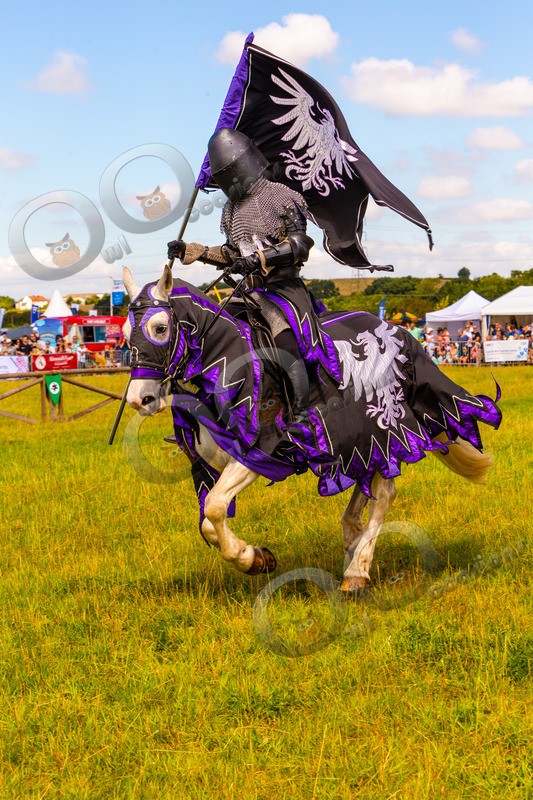 joust-1360 - Pet Photography