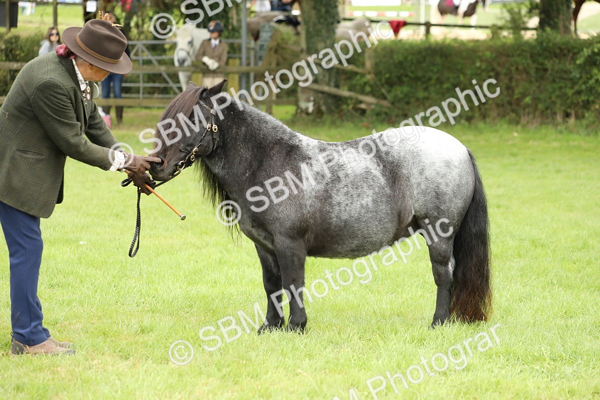 SBM_62786 - S46 - Mountain & Moorland In Hand Small Breeds