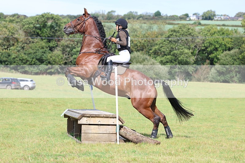 3E7A6603 - Class 1: Trebudannon Open: Pheasant Feeder