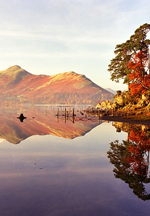 Friars Crag B4 vertical - Sceniks.com - Landscape photographs of the 'Lake District'