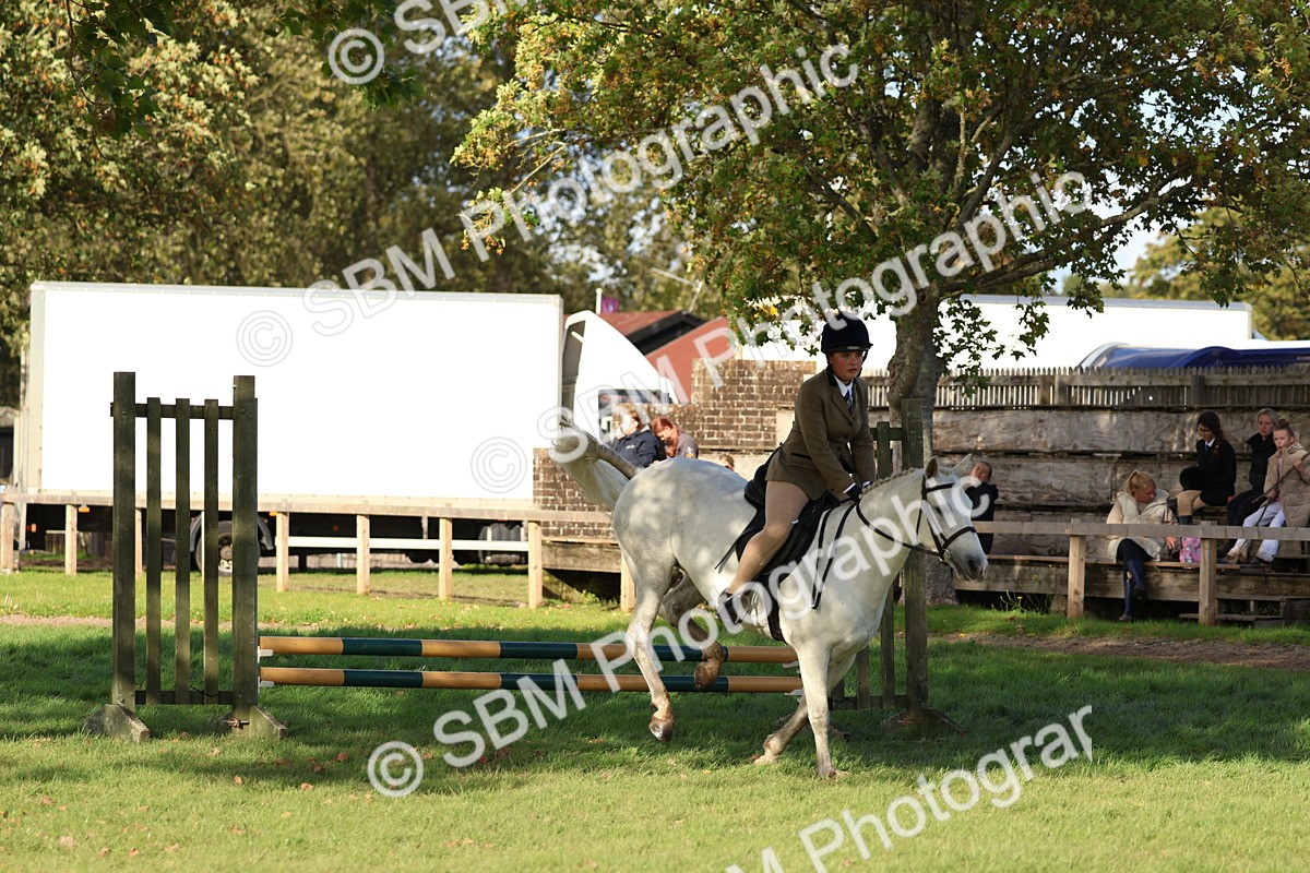 SBM_52519 - S13 - Pony Club Pony
