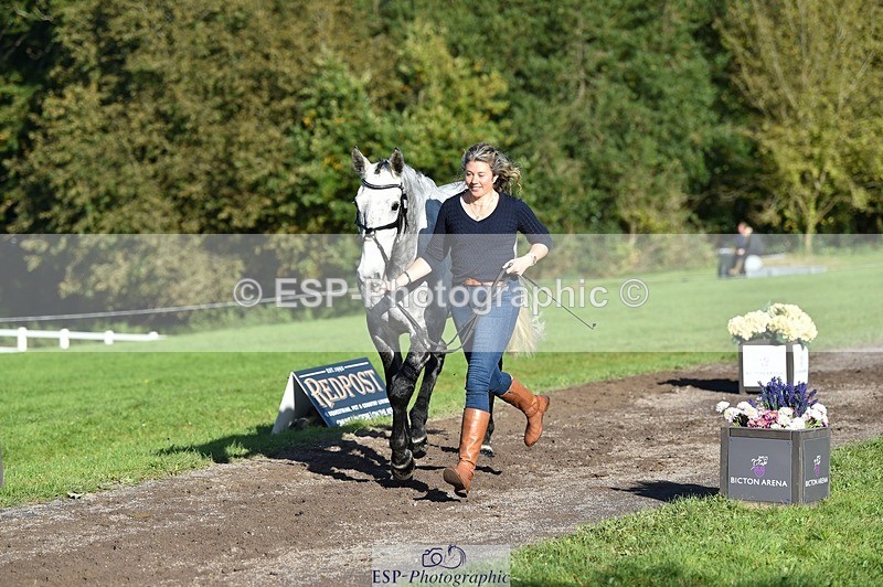 231022-104022-22653 - 445-CRUISING.BORO-Lucy.Knight-TrotUp+SJ