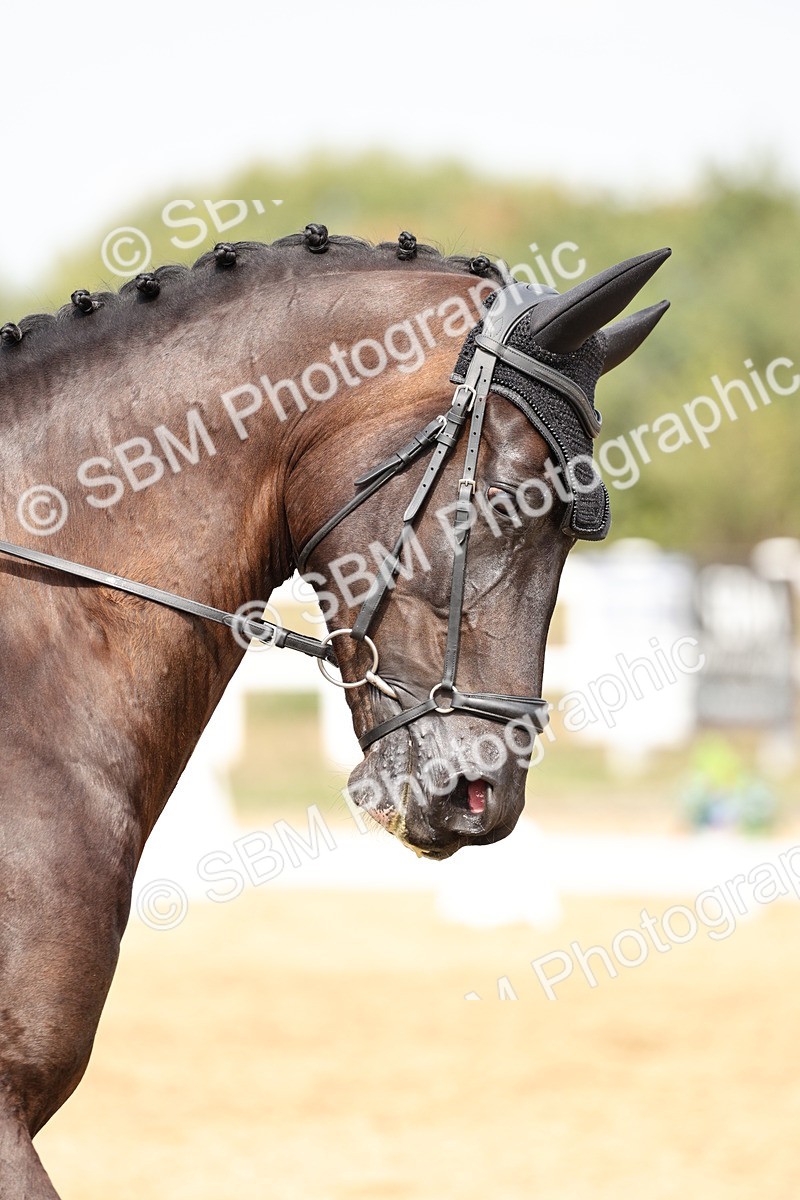 SBM_012488 - Class 2 - Prelim 5