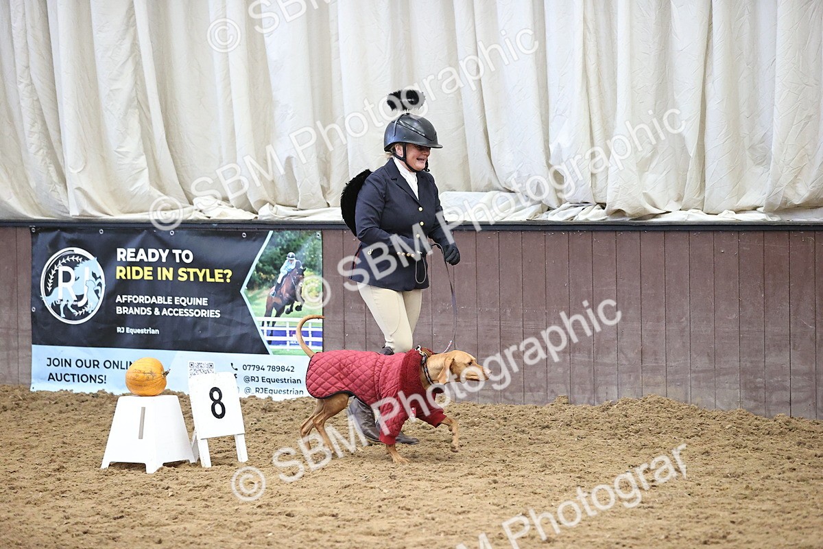 SBM_001481 - Class 3 - Horse & Hound 60cm