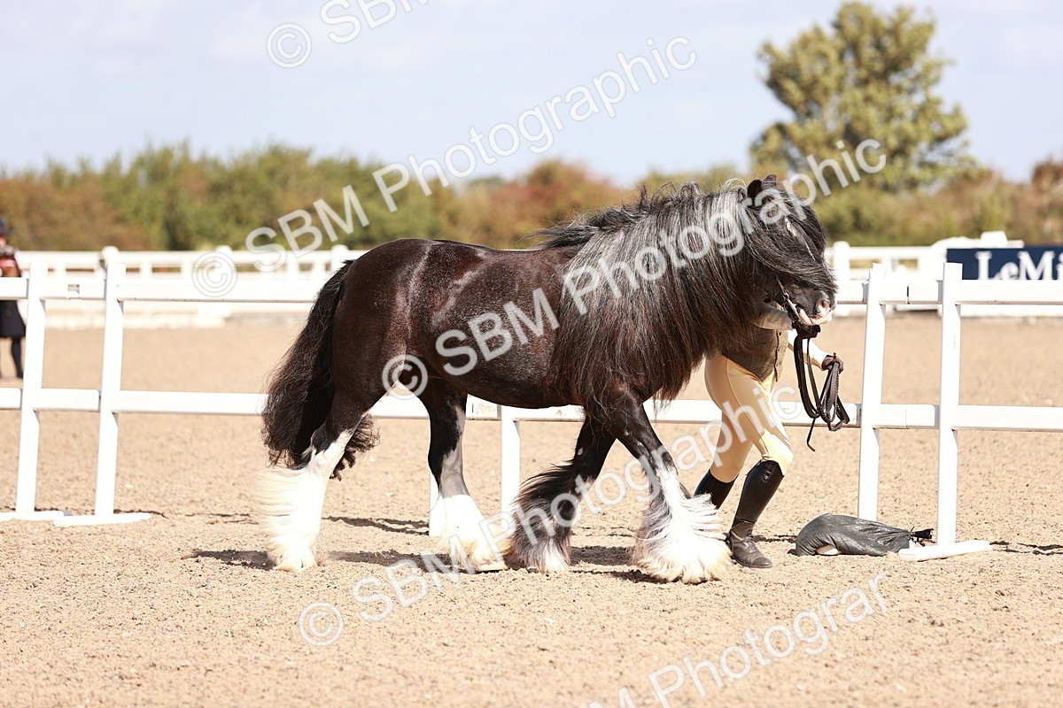 SBM_22971 - Class 707 - IH groom Helpers Class
