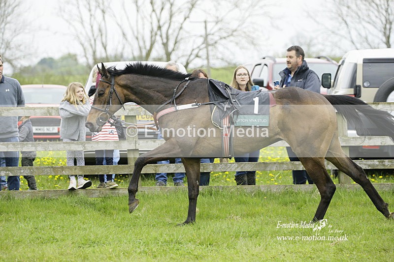 PtP 020522 164 - Mollington Races Point-to-Point 02/05/22