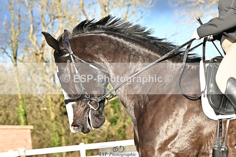 241214-132627-02430 - 119-Rosey.Bradburn-High.Spirits.II