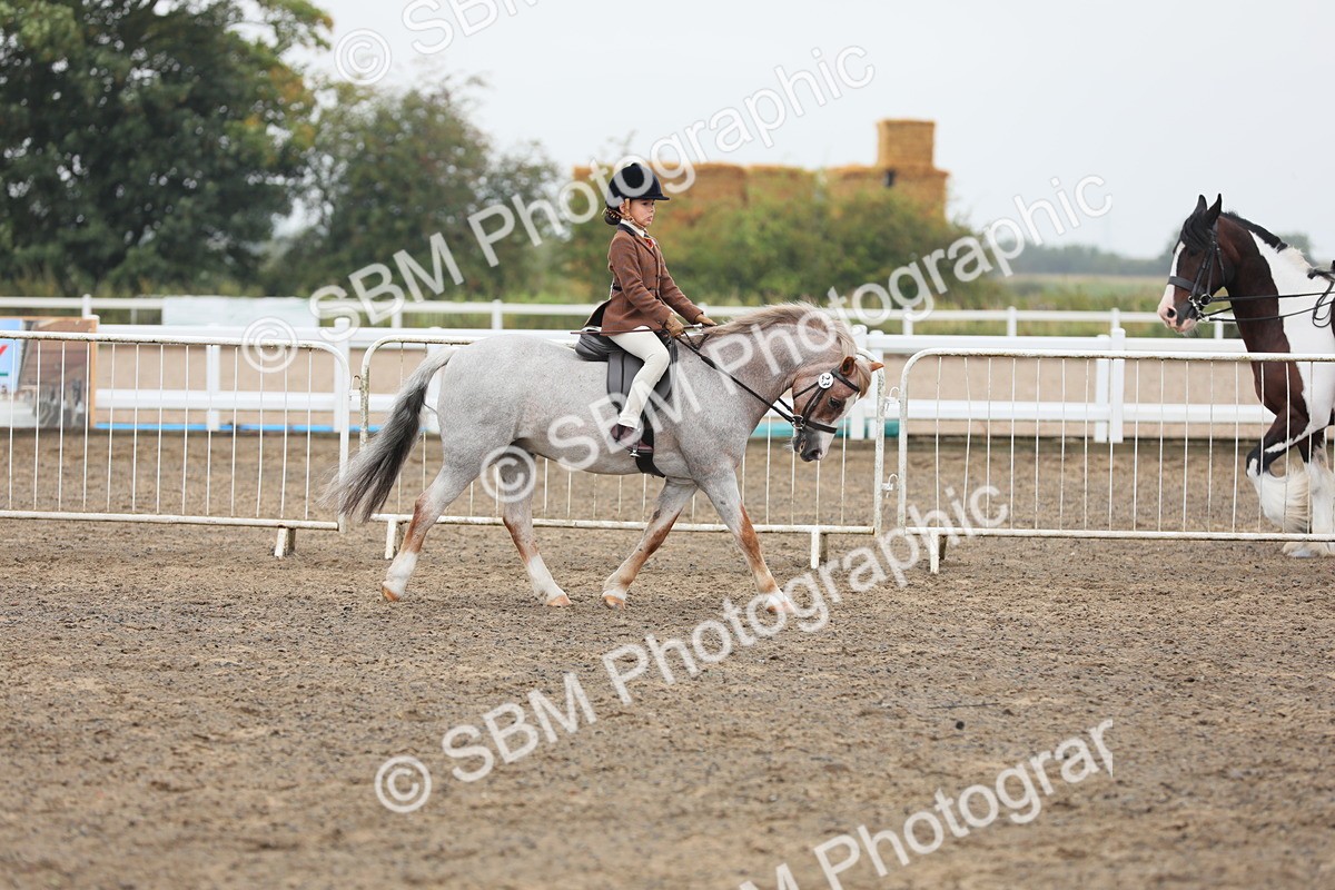 SBM_21808 - Class 806 - Young ridder 10 Yr & Under