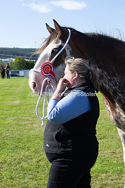 DSC_0072 - Ring 1