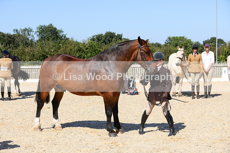 1X9A8074 - Class 11: Open Cob