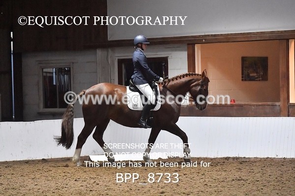 BPP_8733 - NOVICE 6 BD