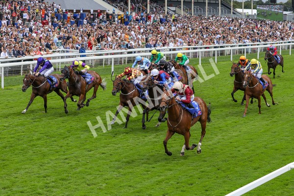 270724-Race 2-Rage Of Bamby-4650 - Race 2 2.40pm Sky Bet Dash Handicap