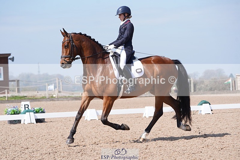 250404-122502-05649 - 028-Elizabeth.Allen-Heraldik