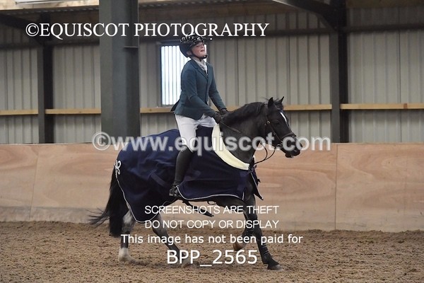 BPP_2565 - CLASS 16 Pony BritiNovice / 0.80m Open