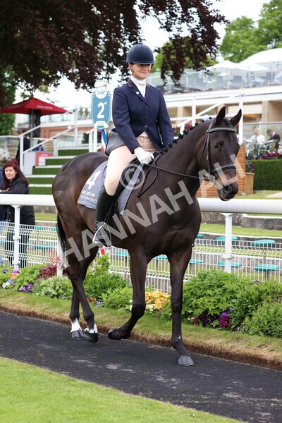 yr22052022r8e-85 - ROR - Parade Ring York
