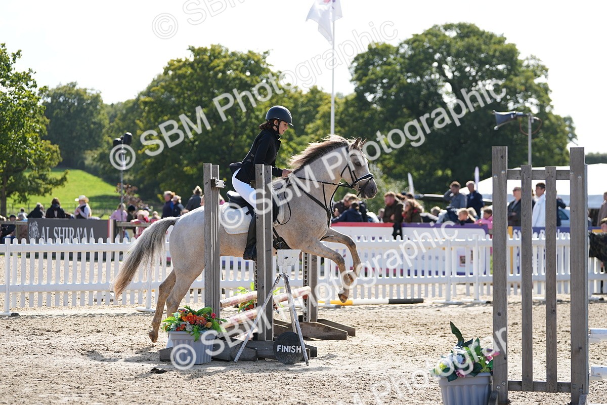 SBM_46637 - J7 - Junior Pony 60cm Championship