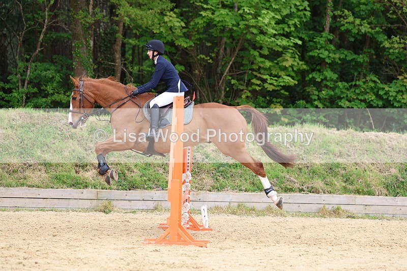 3E7A6245 - Class 4: Senior British Novice/90cm open
