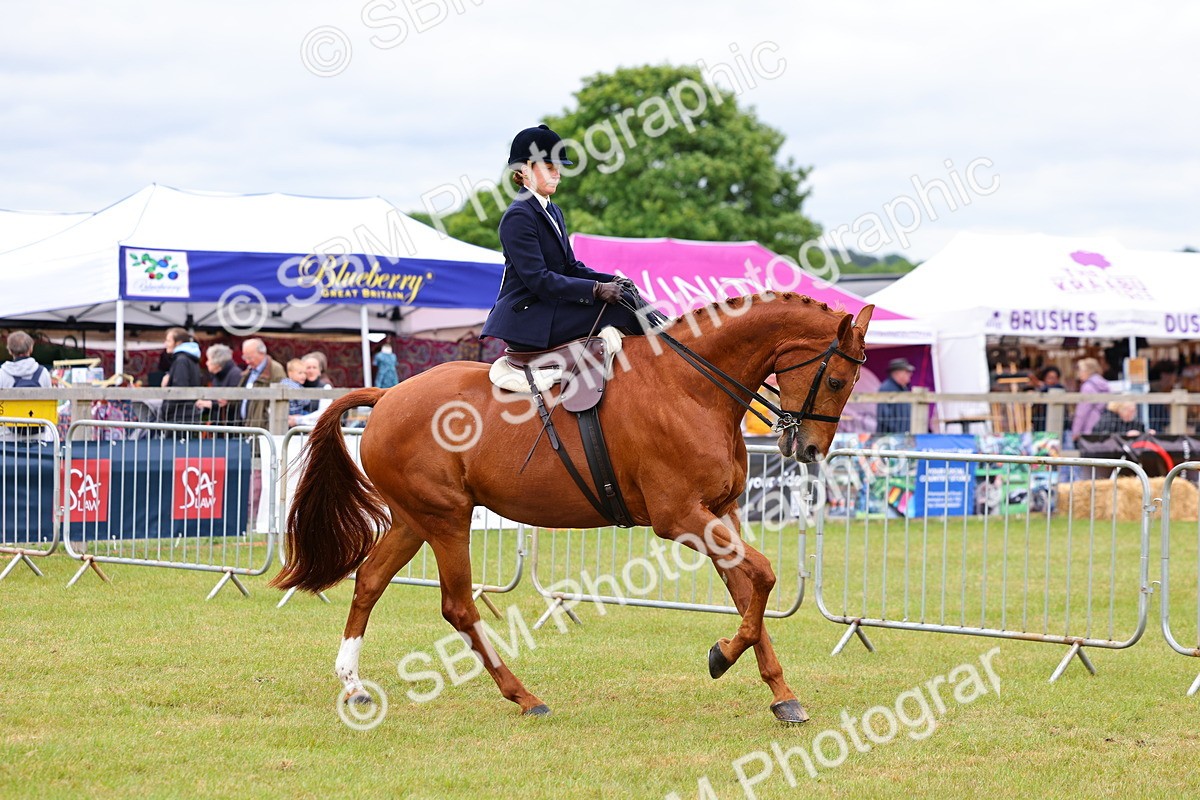 SBM_02940 - Class 9-11 Side Saddle including LIHS Rising Star Ladies Show Horse