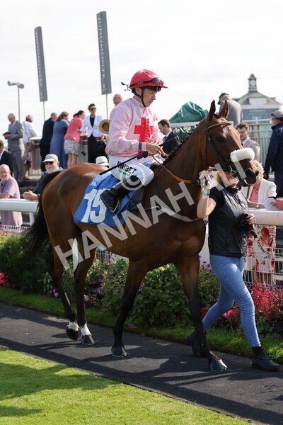 yr18082021r5-29 - Race 5 4.10pm Sky Bet Stakes