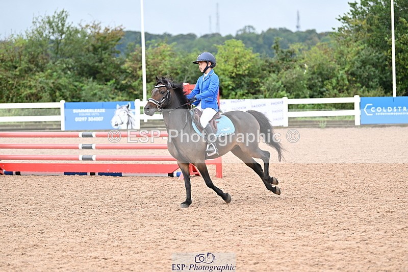 240908A-112854-03376 - Cls 18 A&B Pony Brit Nov & 80 Opern