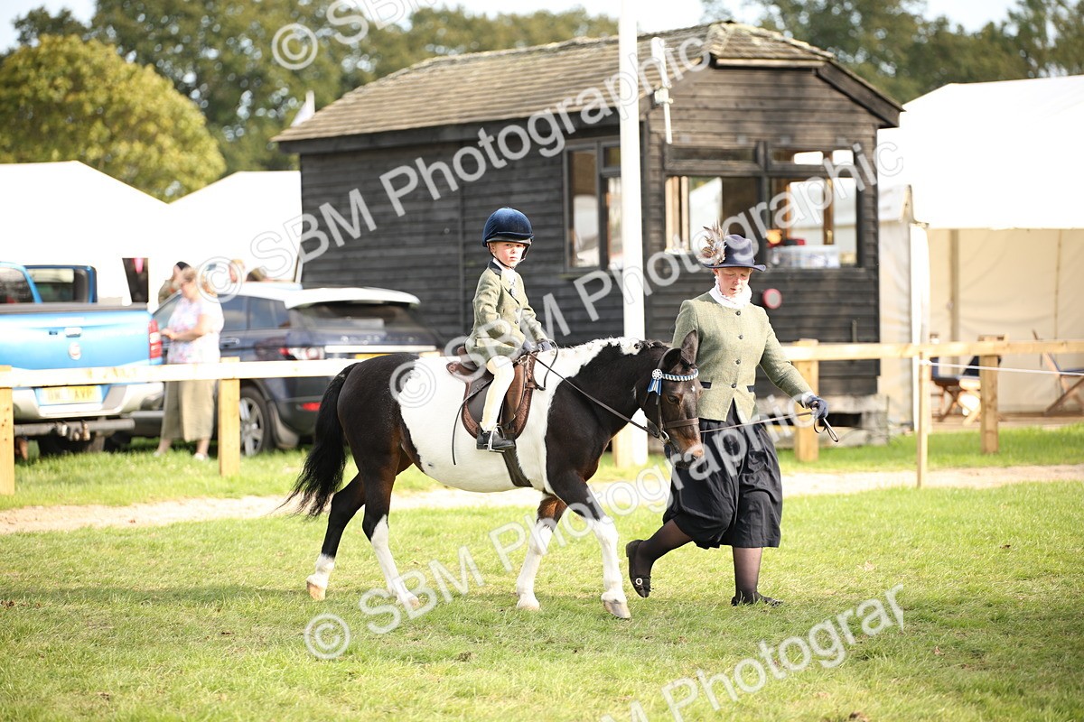 SBM_54243 - S27 - Mature Veteran - Ridden