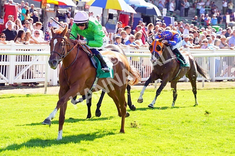 240726-Race 5-Zooella-01655 - Race 5 16.18pm NRFC Leading Roof Excellence Fillies' Handicap