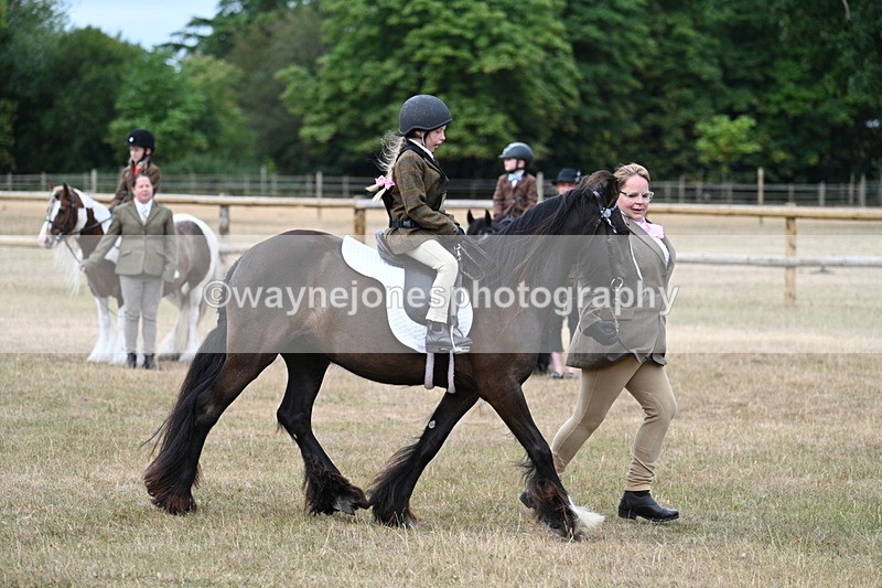 WJ7_6629 - Class 1 Lead Rein Pony