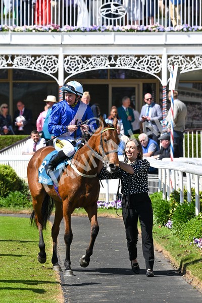 160525-Race 1-Secret Hideaway-6116 - Race 1 2.10pm Clipper EBF Marygate Fillies' Stakes