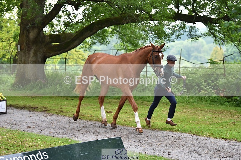 240522-164744-01162 - 221-LAGANS_RICE_STAR-Oliver_Thompson