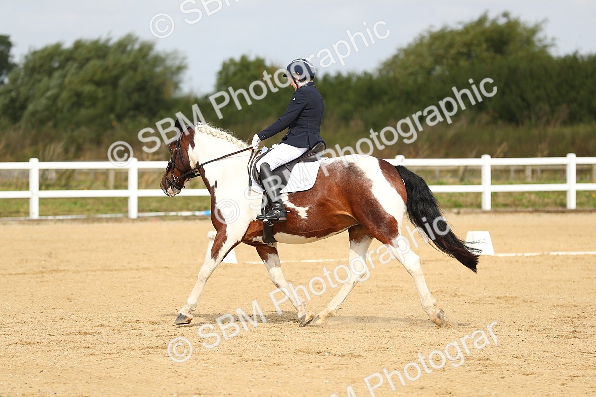 SBM_015684 - Class 13 - Novice 23 - 9.54-11.04