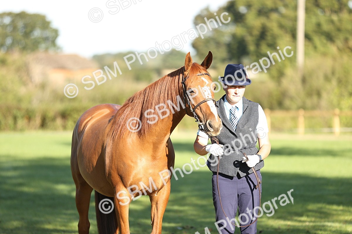 SBM_15677 - S1 - TSR in Hand Horse & Pony Showing