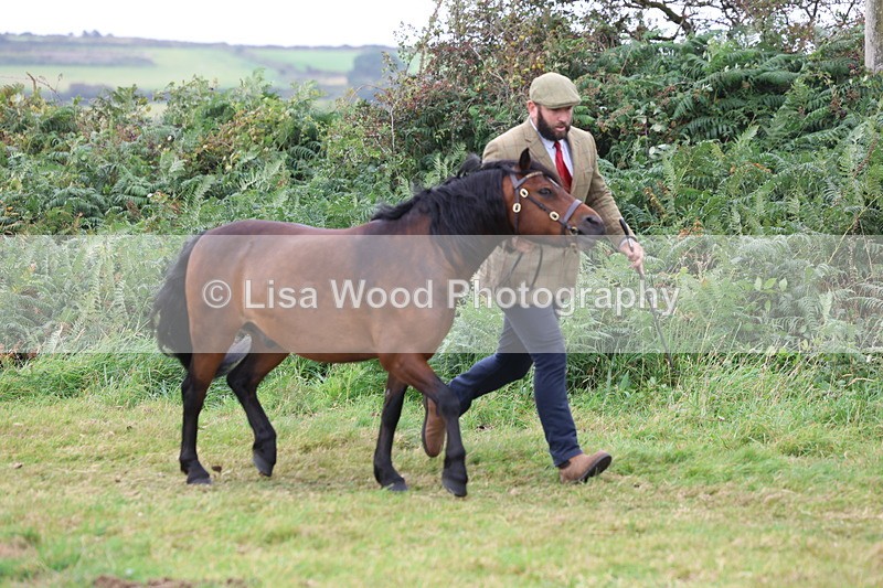 3E7A4583 - Class 16: Best Grass Kept