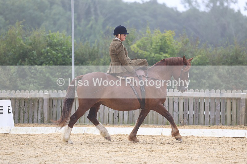 3E7A6867 - Class 5: Prelim to Music