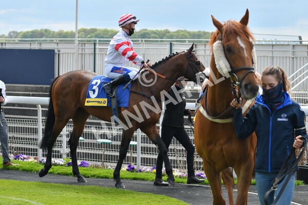 yr12052021r2-8 - Race 2 2.10pm Churchill Tyres Stakes