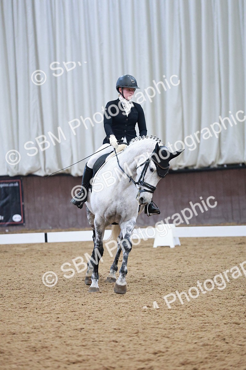 SBM_004528 - Ring 3 - International -  Working Hunter Classes 23-2-25