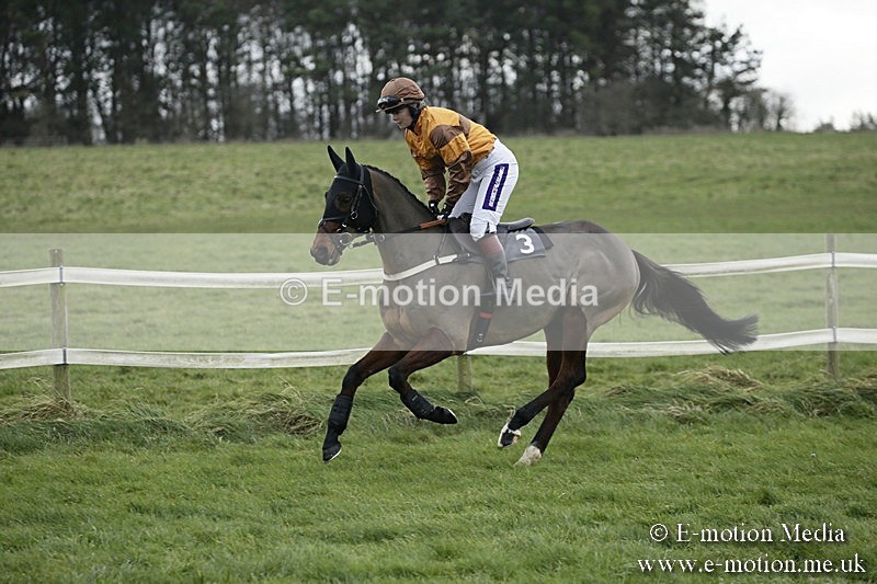 PtP 031217 74 - Hursley Hambledon Point-to-Point Larkhill 03/12/17