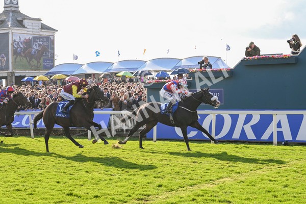 121024-Race 3-Strike Red-3038 - Race 3 Coral Sprint Trophy Handicap