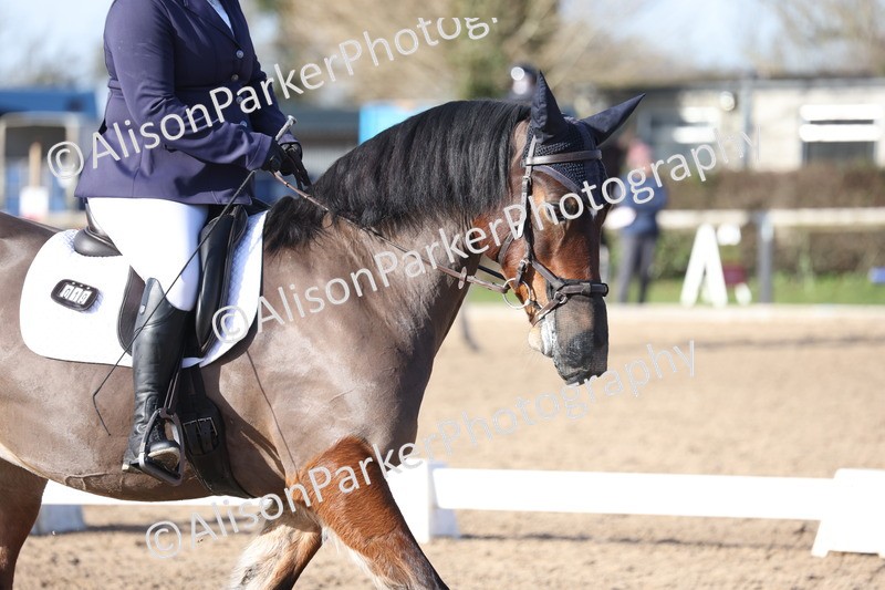 20260214-0569 - Class 5 - Novice 3