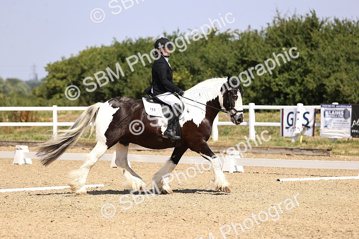 SBM_003679 - Intro 2