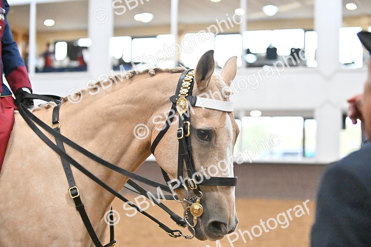 SBM_002883 - Class 35 - Ridden Concours D'elegance