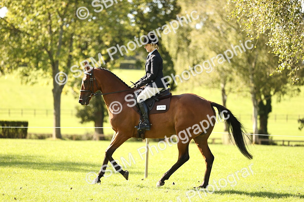 SBM_16948 - S2 - TSR Ridden Pony Showing