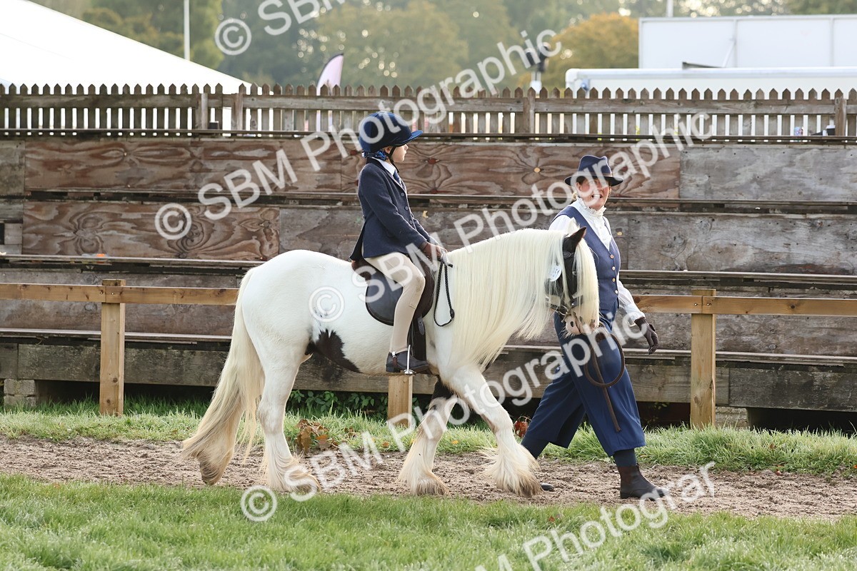 SBM_54472 - S38 - Starters Best Turnout