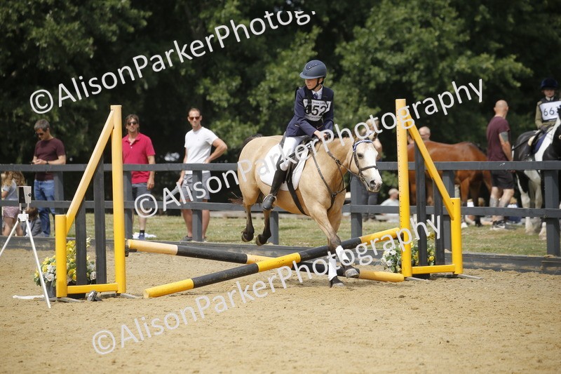 20250622-4652 - 50cm