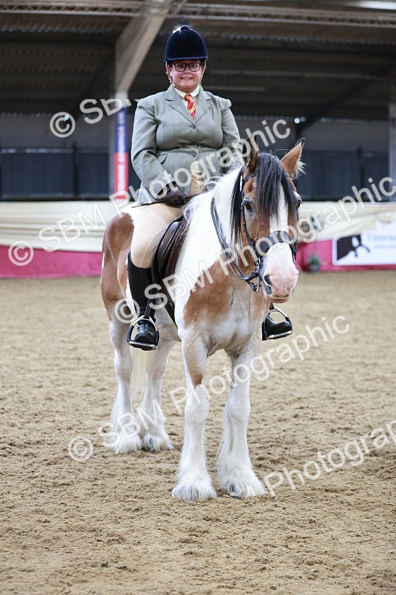 SBM_07282 - Class 10R - Regional Ridden Diamond