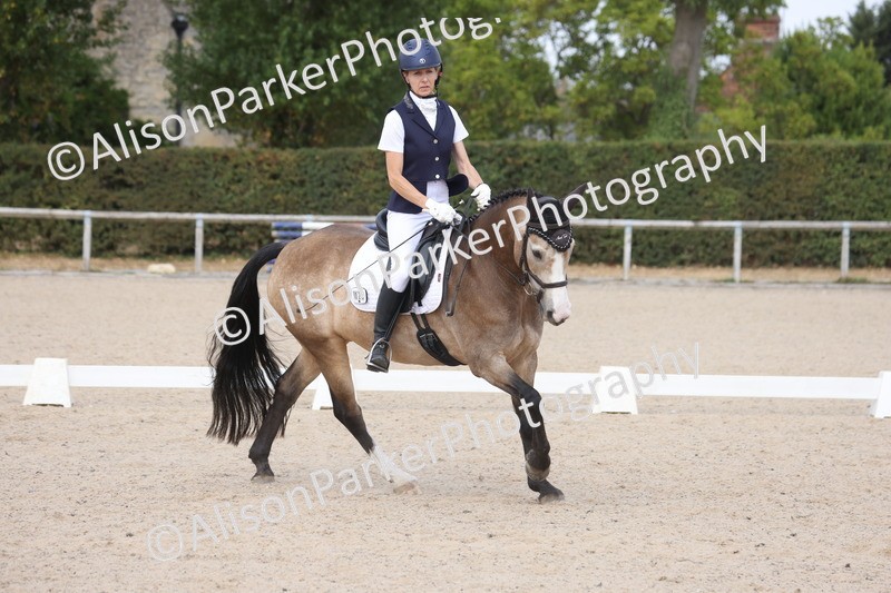 20260816-1161 - Class 4 - Novice 6