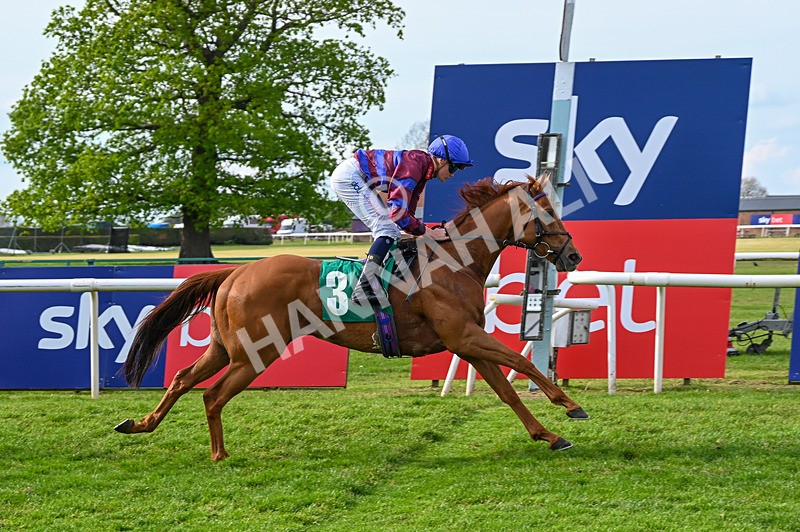 020526-Race 7-Rising Force-0272 - Race 7 5.00pm Sky Bet Irish Day Saturday 16th May Book Now Handicap