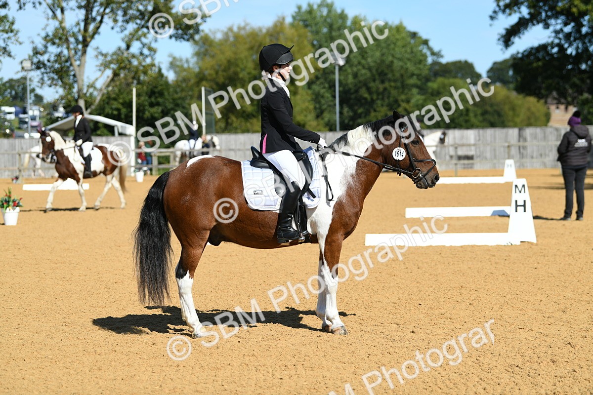 SBM_20601 - D13 - Grand Tour Championship - Prelim 12